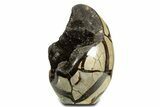 Polished Dragon Egg Septarian Geode - Free-Standing #344448-2